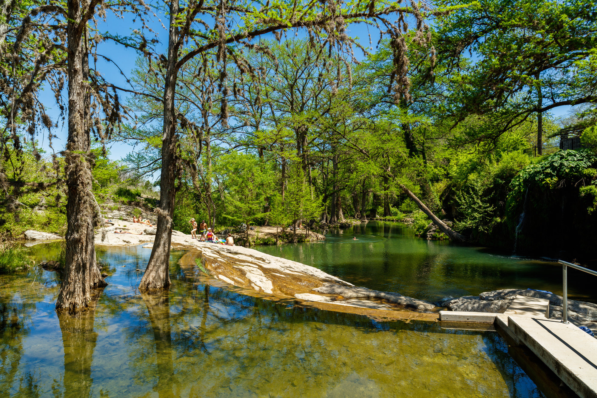 Krause Springs in Austin, TX | Spyglass Realty
